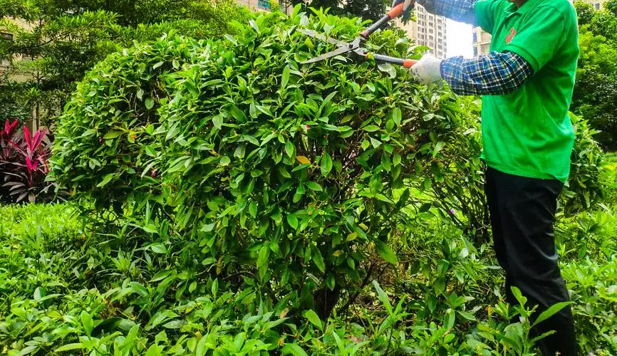 米乐m6官网：06款百宝力网球拍