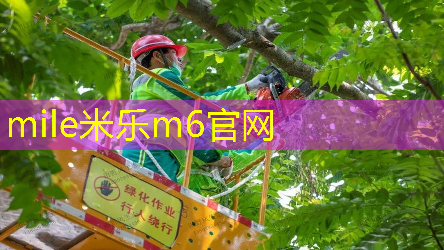 米乐m6官网：运动员必备秘籍：了解篮球架收球网高度对比与优劣