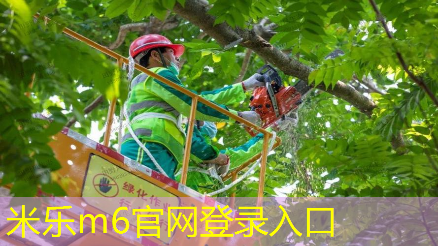 多元文化，市政绿化景观草坪设计展示城市文化特色！