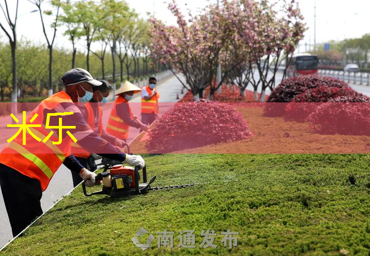 室内运动健身毯