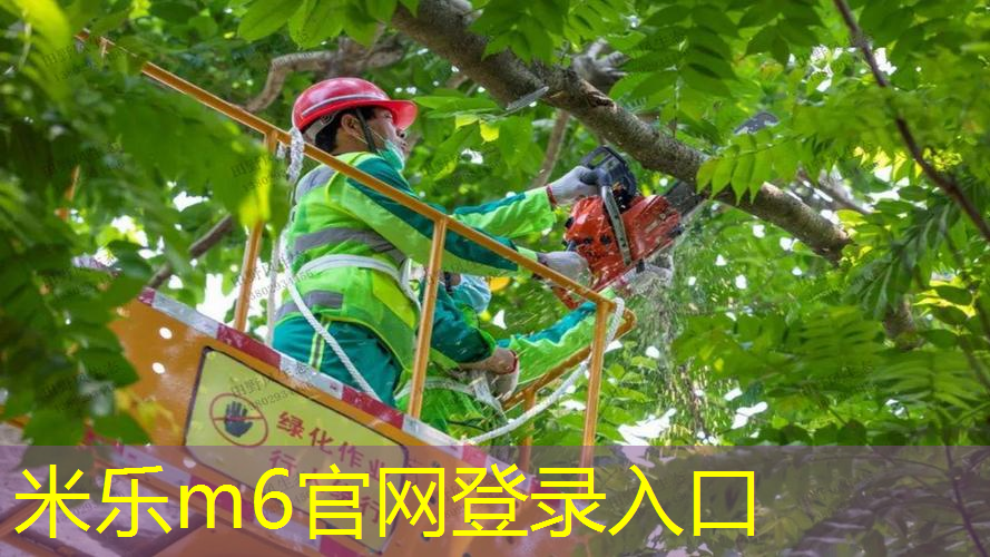 运动员必备秘籍：了解篮球架收球网高度对比与优劣